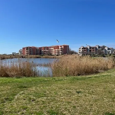 T3 Avec Terrasse, Parking Et Animaux Admis A 200m De La - Fr-1-749-88 דירה *